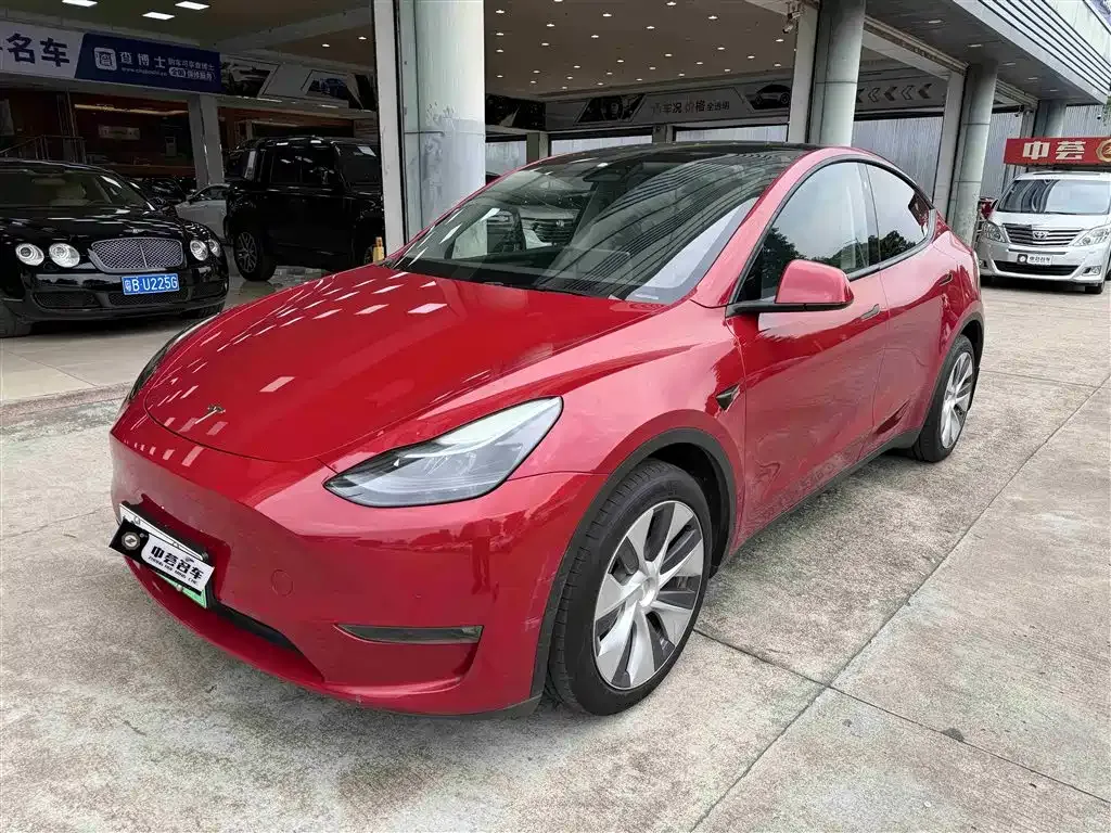 Tesla Model Y 2021 из CN, фото 1