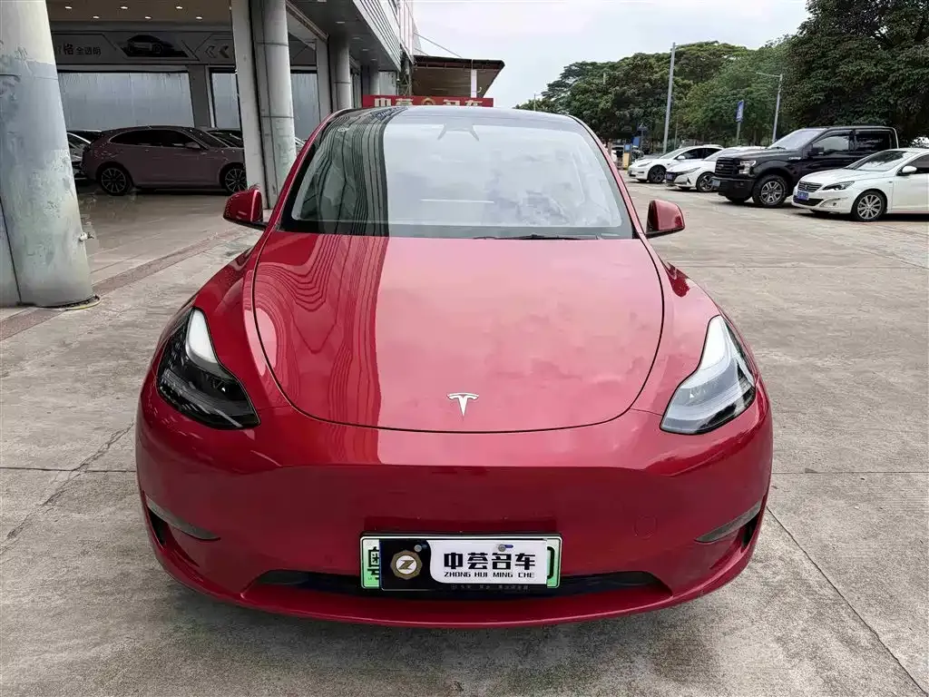 Tesla Model Y 2021 из CN, фото 5