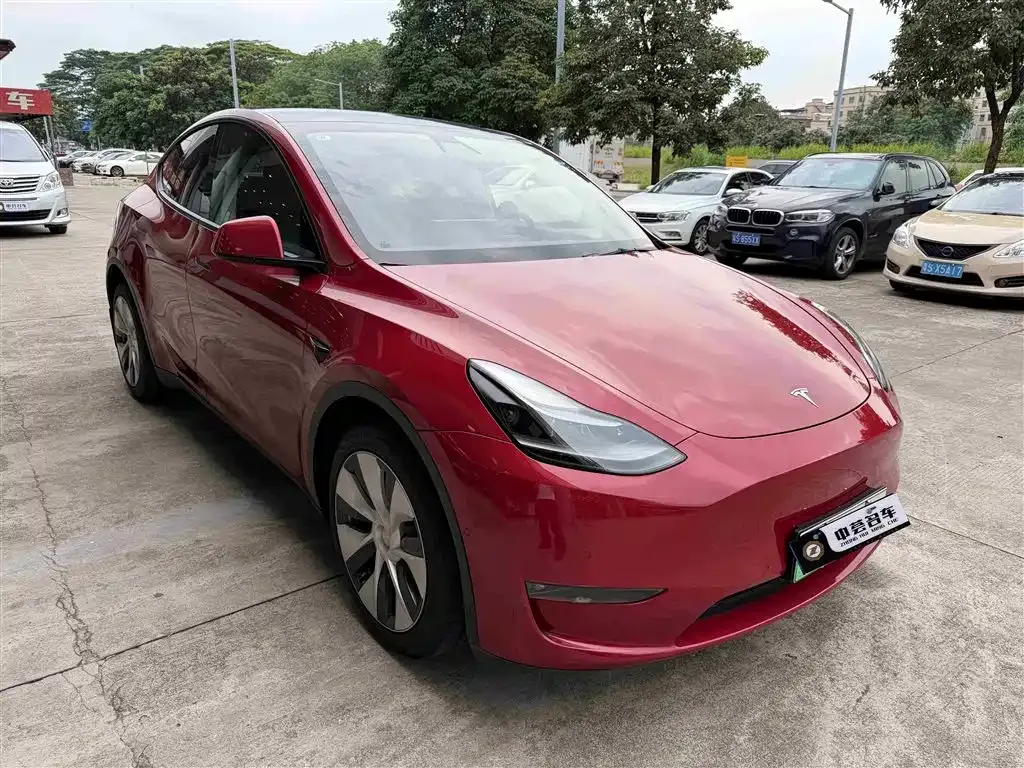 Tesla Model Y 2021 из CN, фото 10