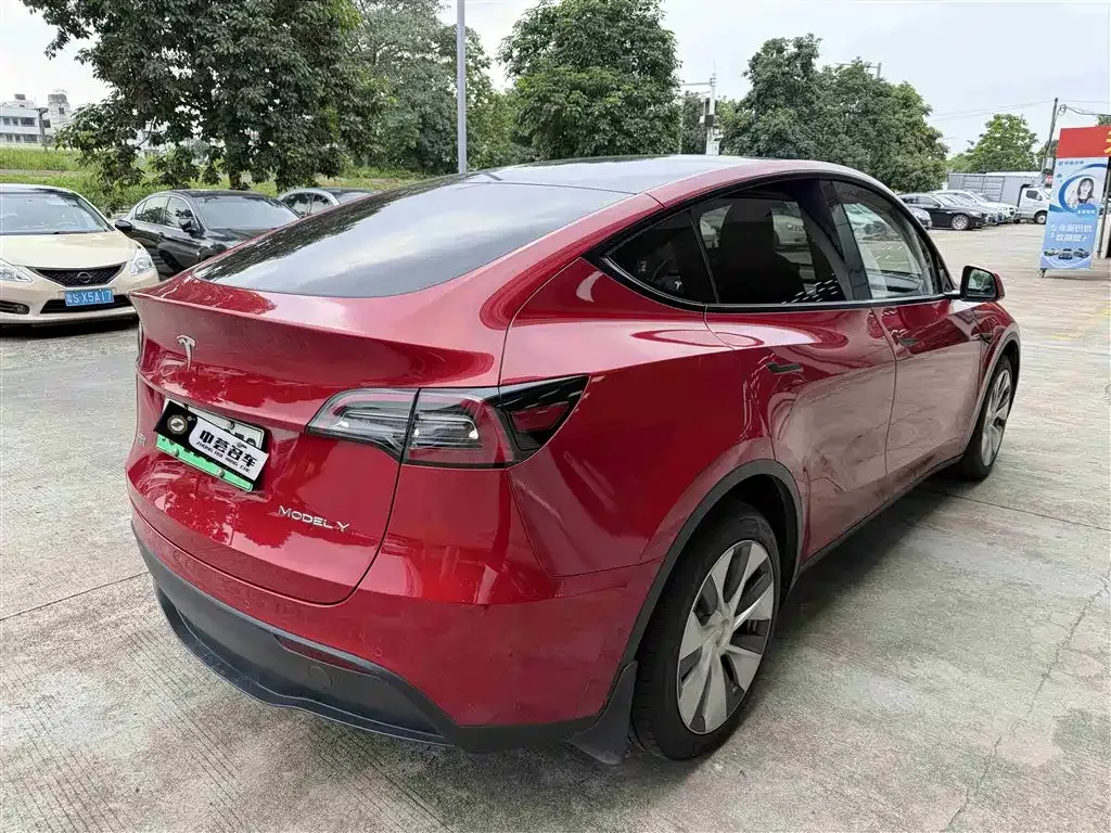 Tesla Model Y 2021 из CN, фото 8