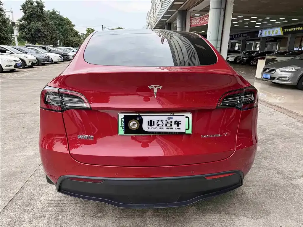 Tesla Model Y 2021 из CN, фото 3