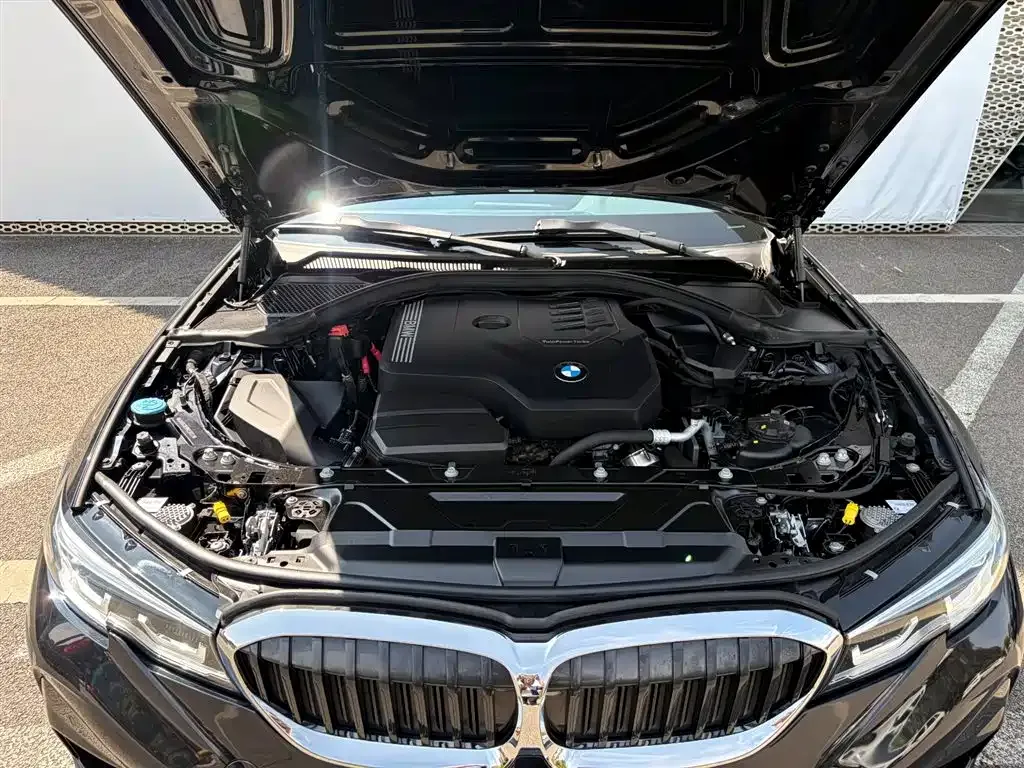 BMW 3 Series 2022 из CN, фото 7