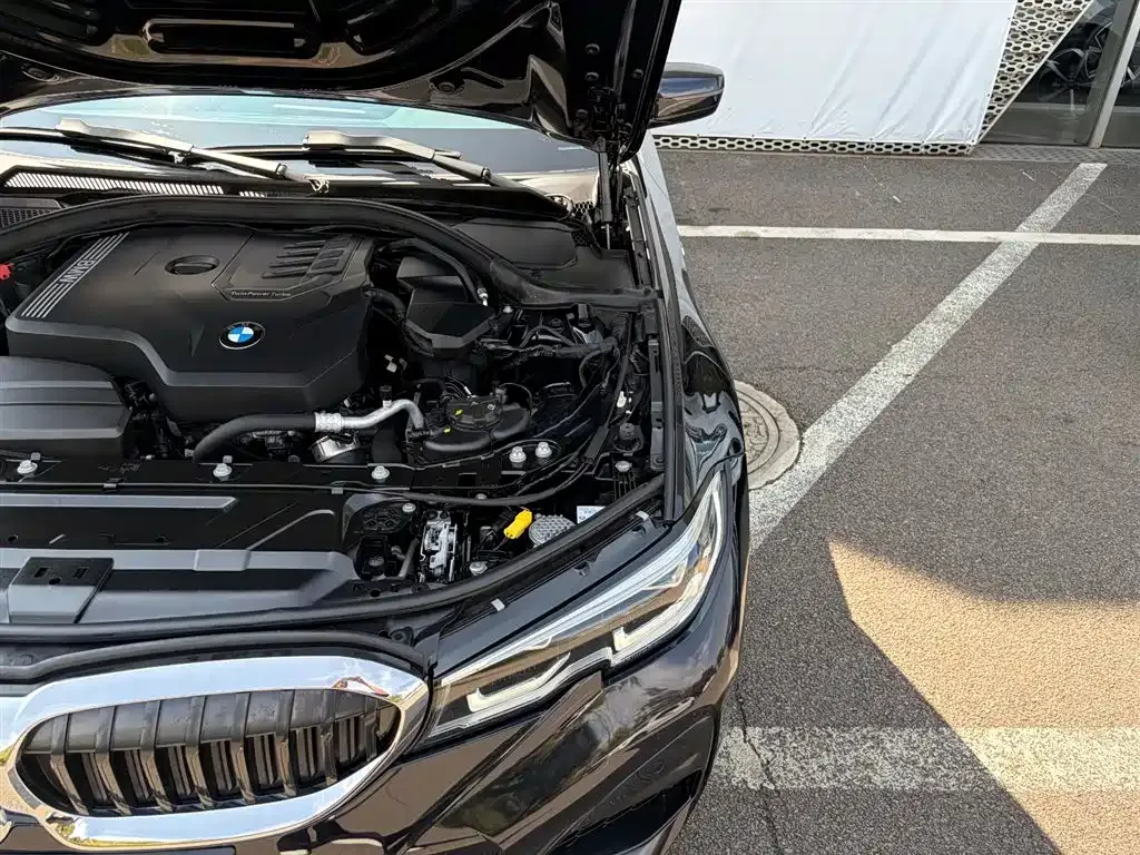 BMW 3 Series 2022 из CN, фото 6
