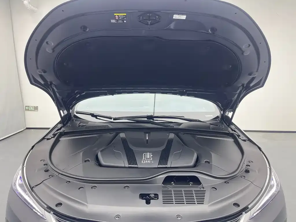 BYD Tang New Energy 2023 из CN, фото 8