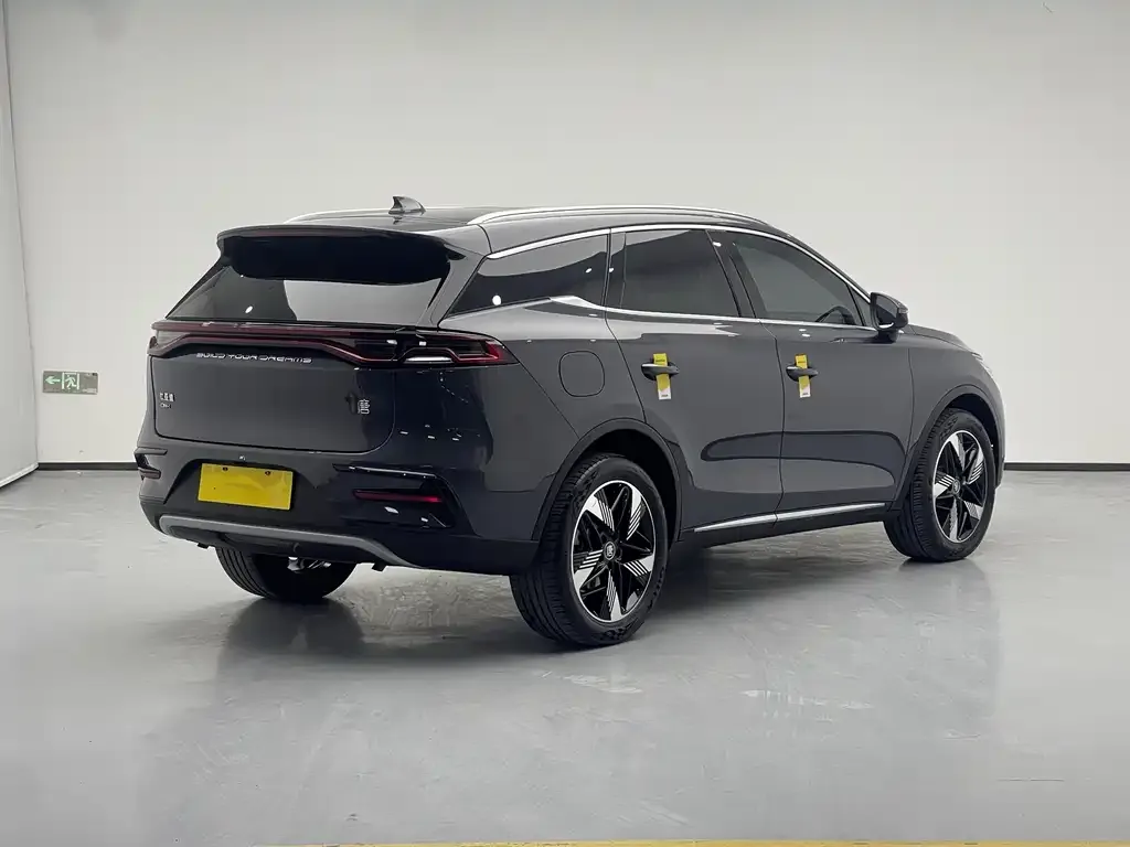 BYD Tang New Energy 2023 из CN, фото 6