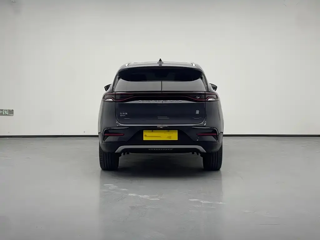 BYD Tang New Energy 2023 из CN, фото 9