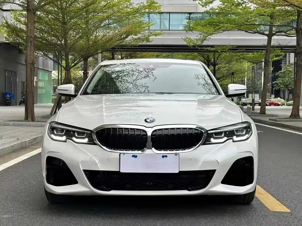 BMW 3 Series 2022 из CN, фото 7