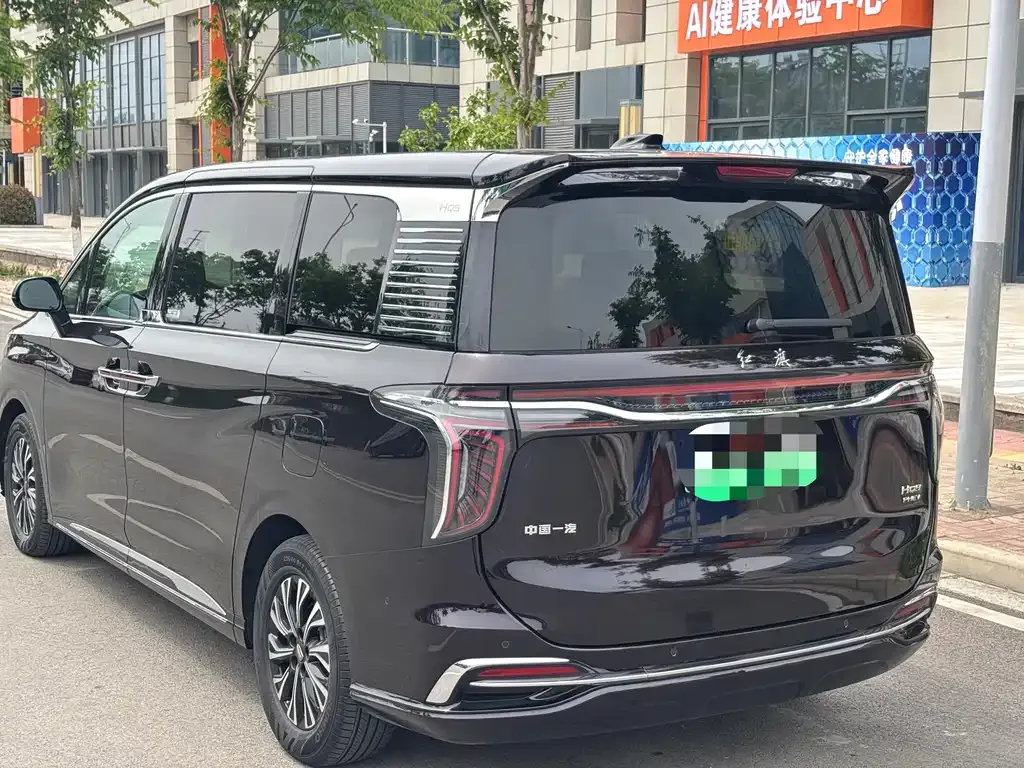 Hongqi HQ9 PHEV 2024 из CN, фото 6