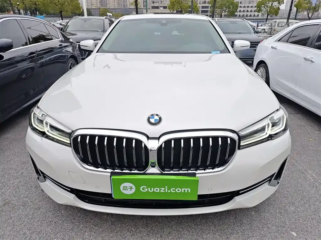 BMW 5 Series 2022 из CN, фото 7