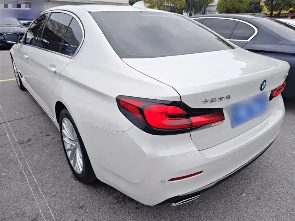 BMW 5 Series 2022 из CN, фото 10