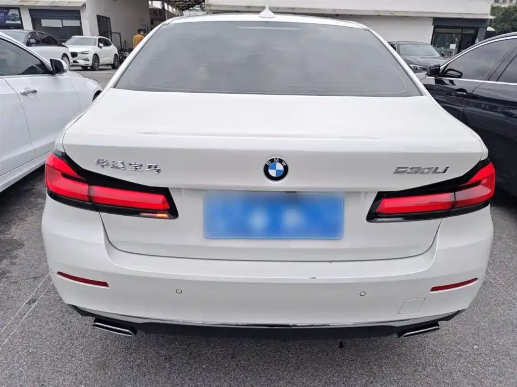BMW 5 Series 2022 из CN, фото 8