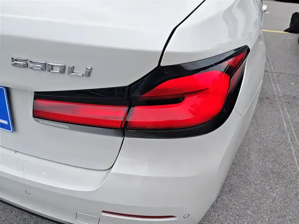 BMW 5 Series 2022 из CN, фото 9