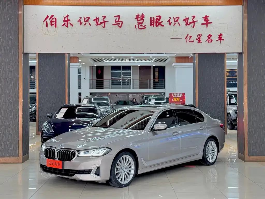 BMW 5 Series 2021 из CN, фото 6