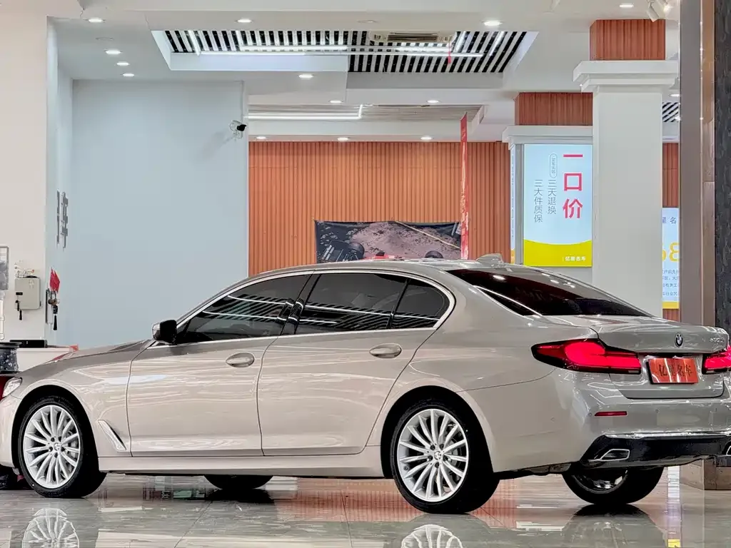 BMW 5 Series 2021 из CN, фото 4