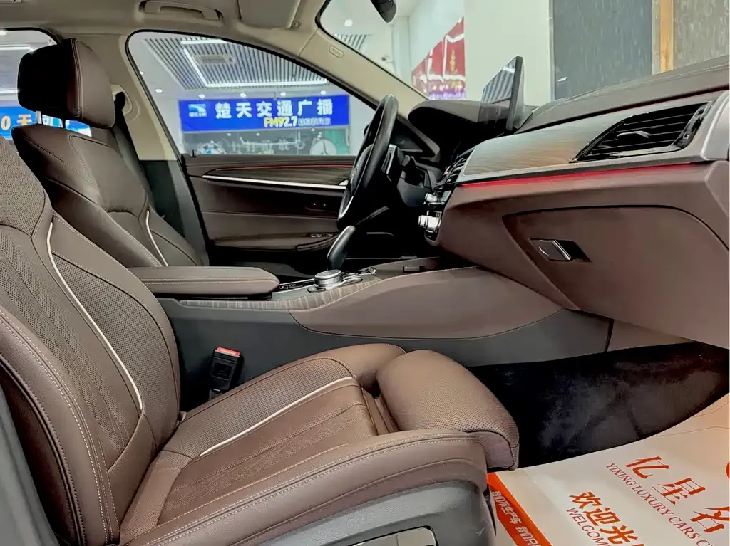 BMW 5 Series 2021 из CN, фото 8