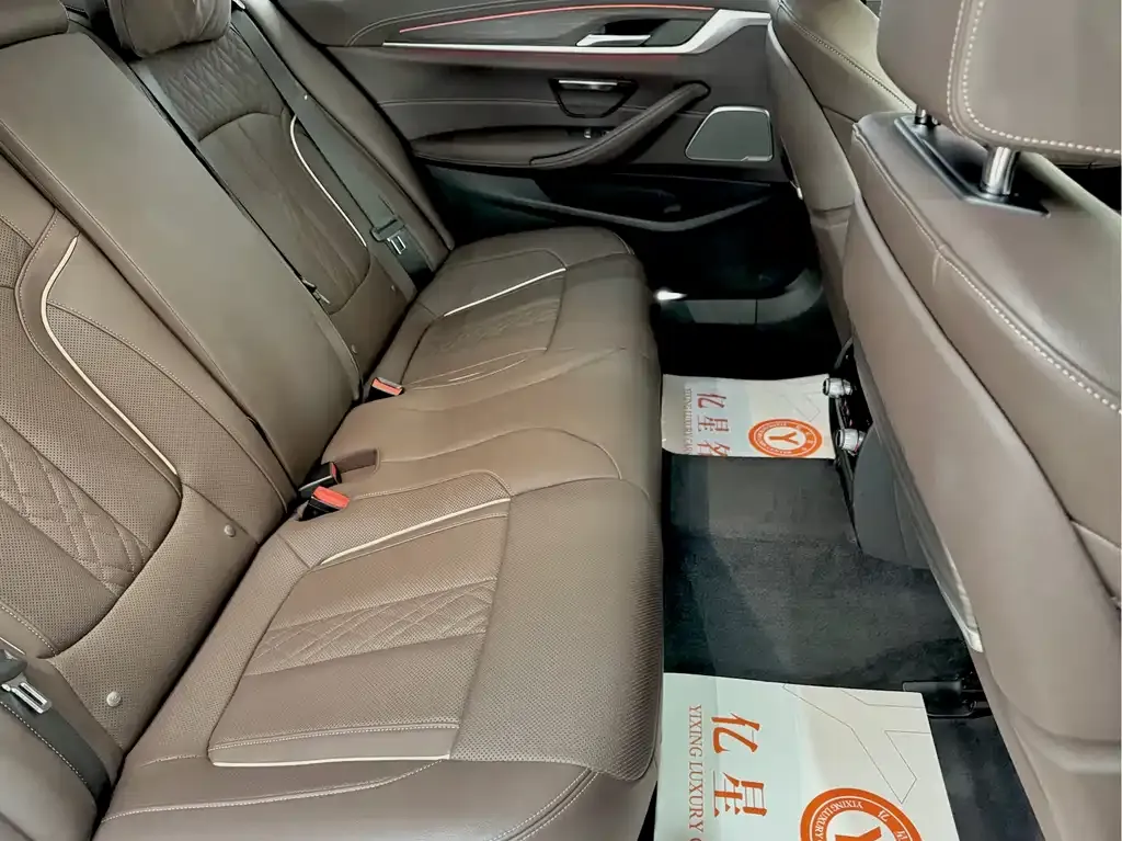 BMW 5 Series 2021 из CN, фото 2