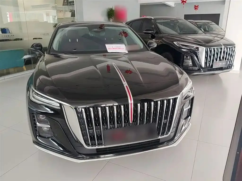 Hongqi H5 2024 из CN, фото 8