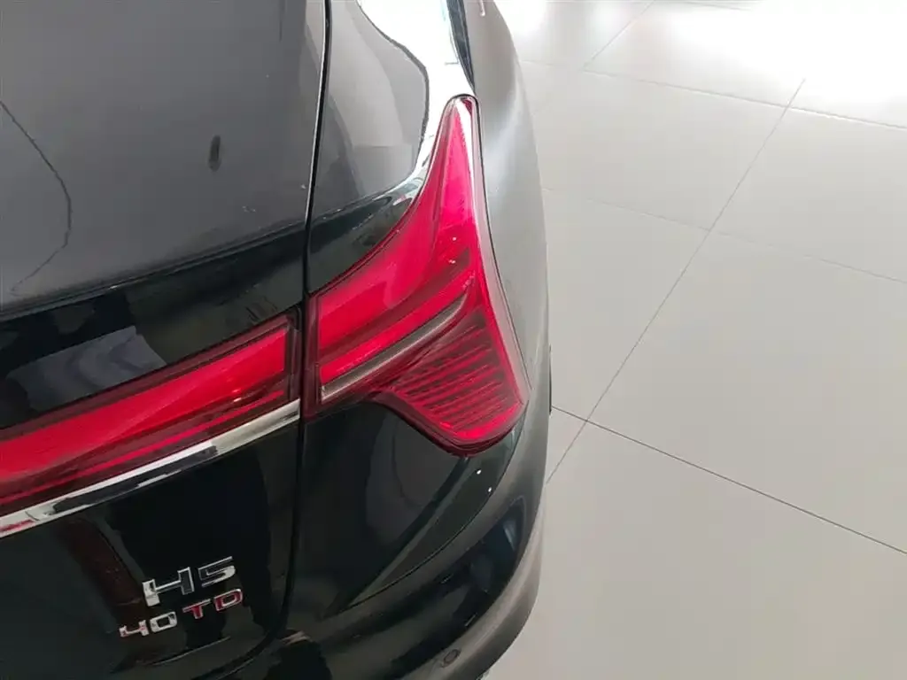Hongqi H5 2024 из CN, фото 6
