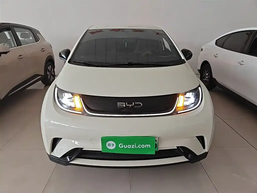 BYD Dolphin 2024 из CN, фото 4