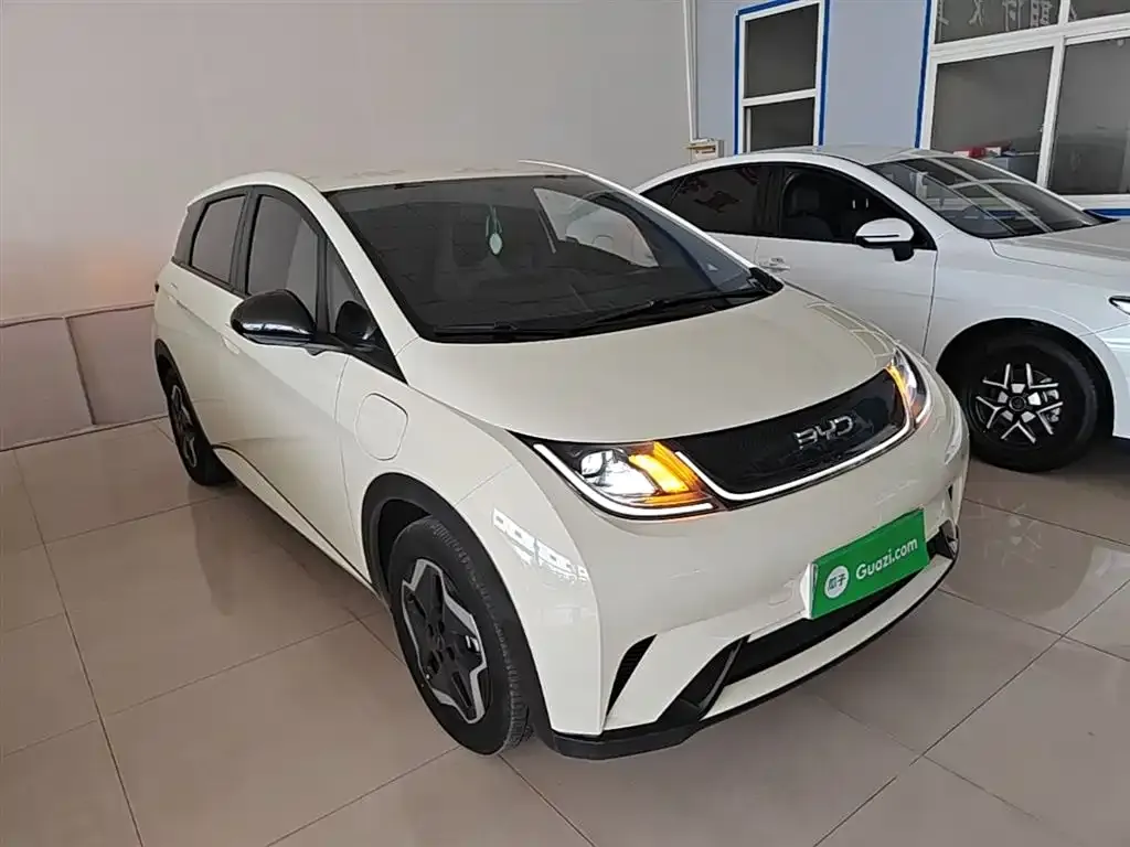 BYD Dolphin 2024 из CN, фото 7