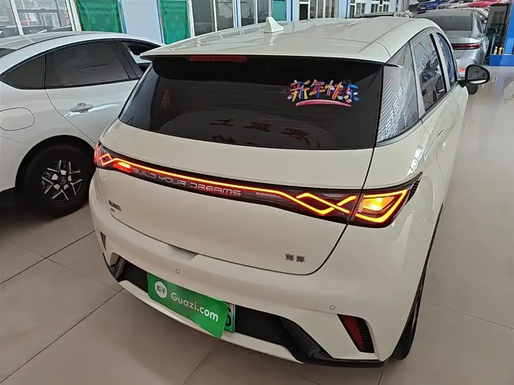 BYD Dolphin 2024 из CN, фото 8