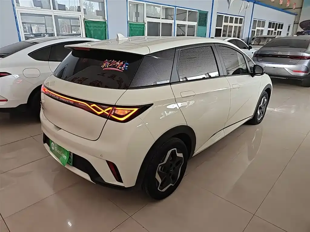 BYD Dolphin 2024 из CN, фото 9