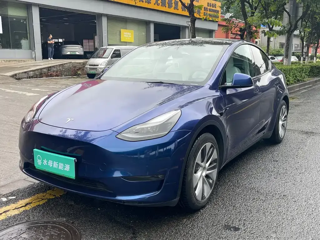 Tesla Model Y — фото 1