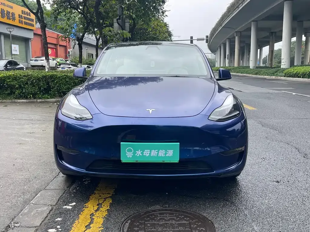 Tesla Model Y — фото 5
