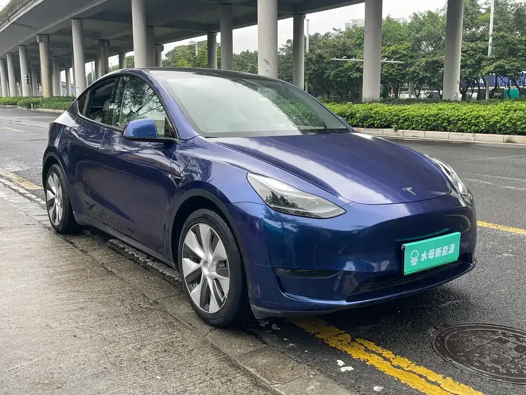 Tesla Model Y — фото 9