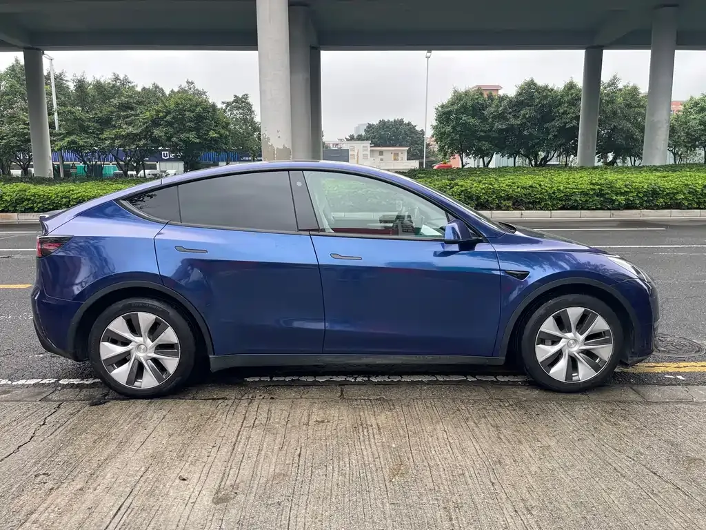 Tesla Model Y — фото 10