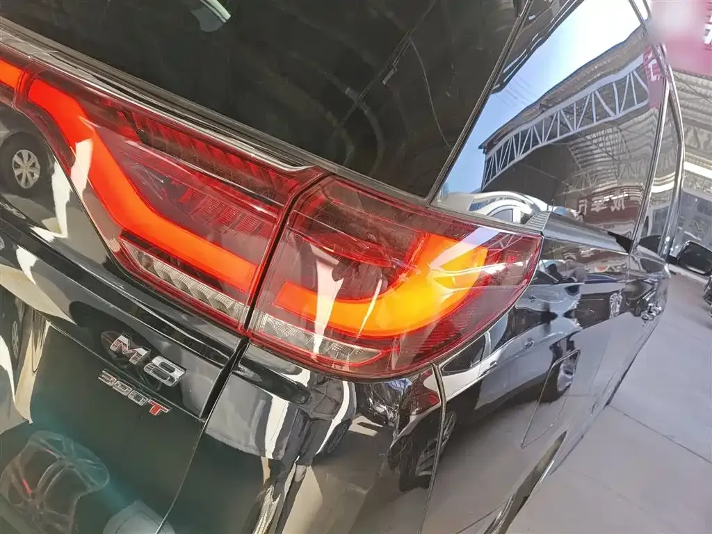 GAC Motor Trumpchi M8 2022 из CN, фото 7
