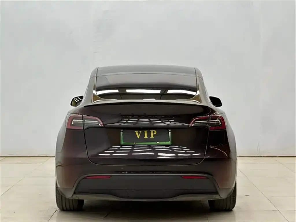 Tesla Model Y 2023 из CN, фото 2