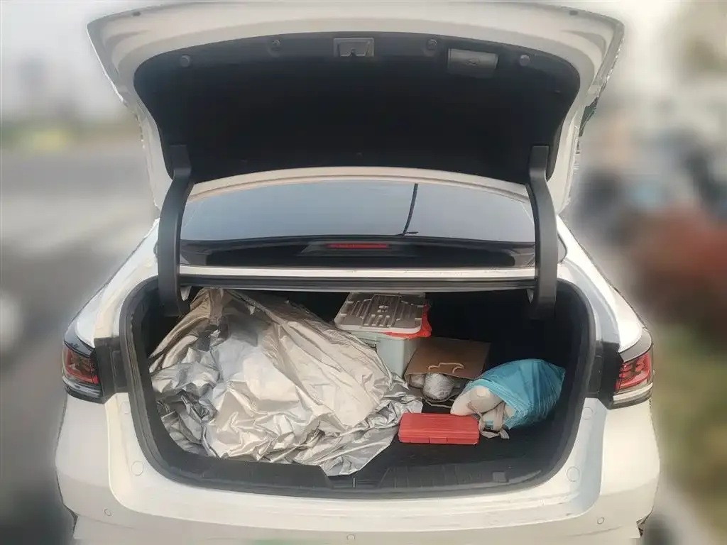 Changan Ruicheng PLUS 2024 из CN, фото 2