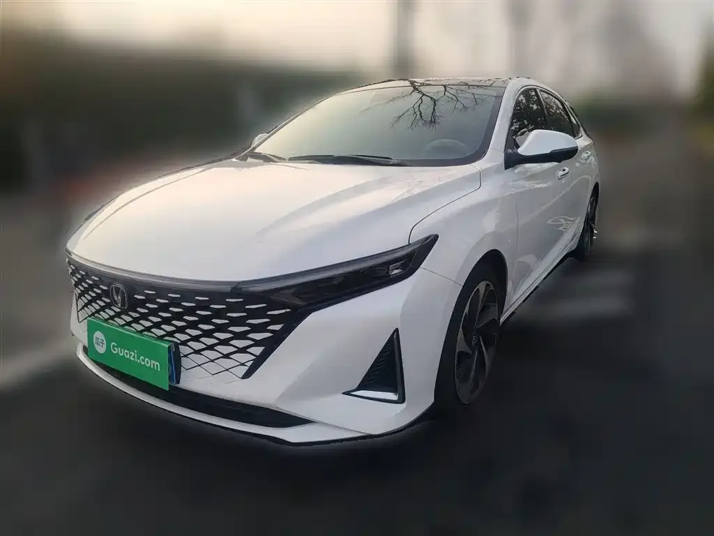 Changan Ruicheng PLUS 2024 из CN, фото 5