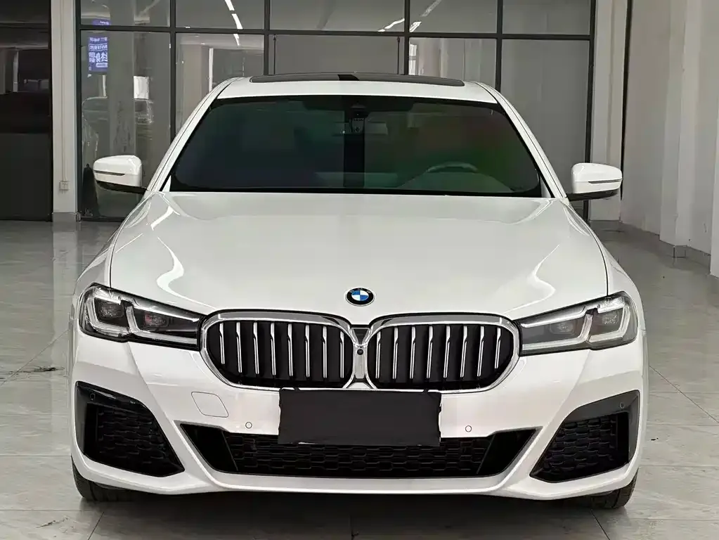 BMW 5 Series 2022 из CN, фото 1