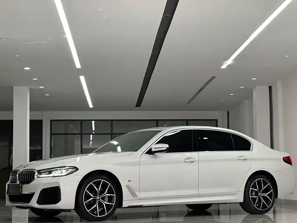 BMW 5 Series 2022 из CN, фото 9