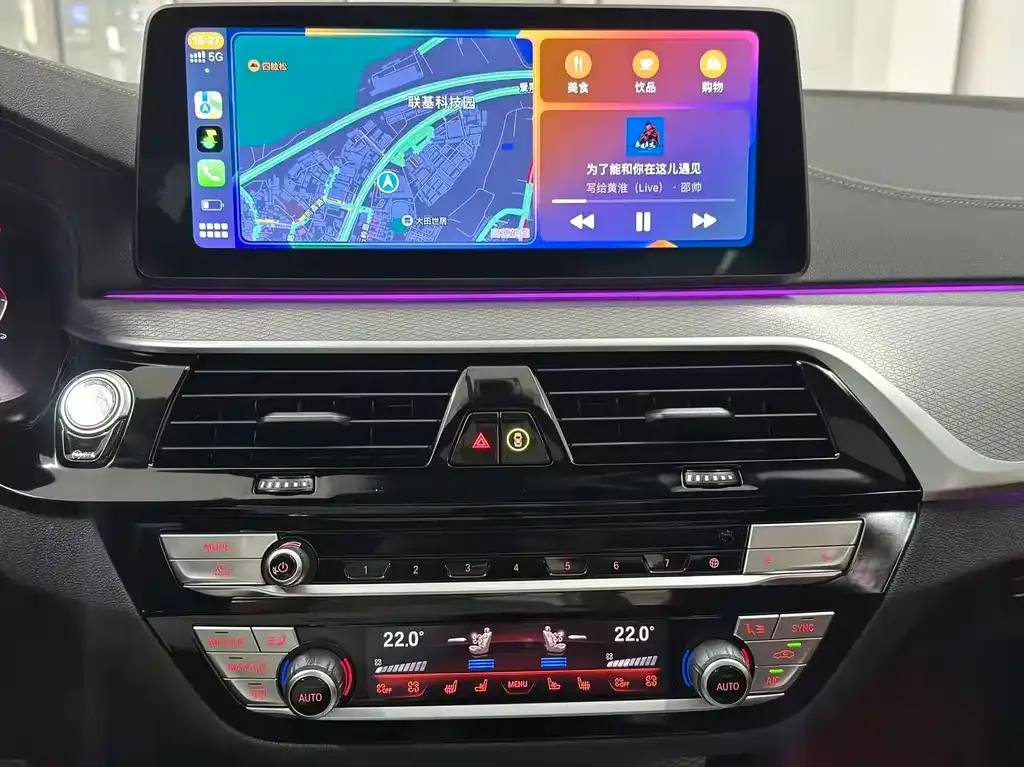 BMW 5 Series 2022 из CN, фото 4