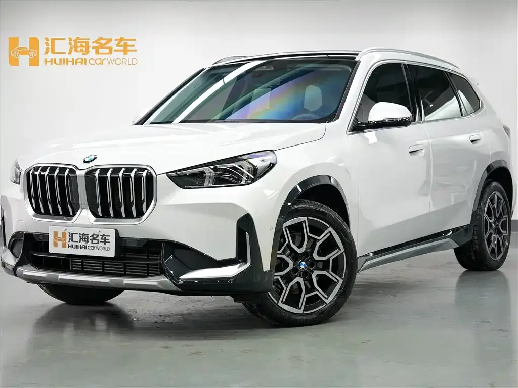 BMW X1 — фото 1