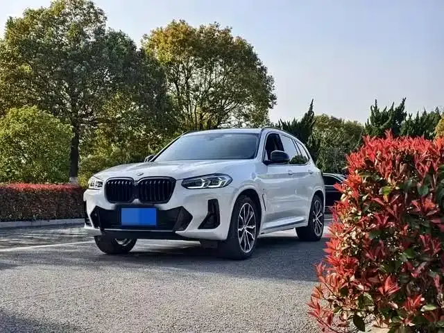 BMW X3 — фото 1