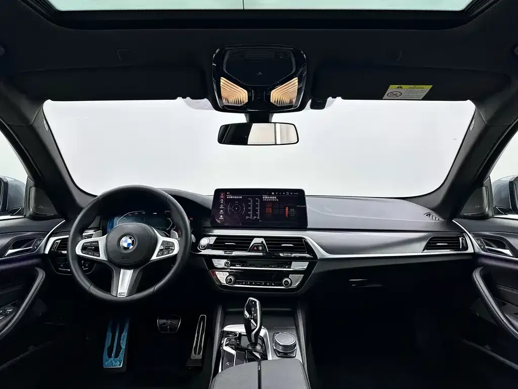 BMW 5 Series (Import) 2021 из CN, фото 6
