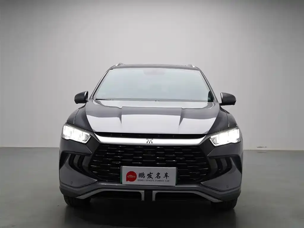BYD Pro New Energy — фото 2