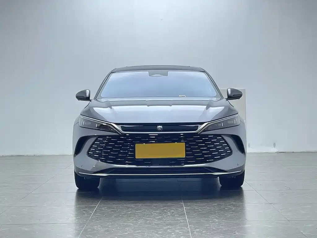 BYD Qin L 2024 из CN, фото 6