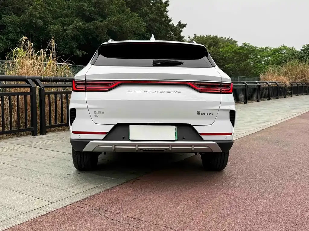 BYD PLUS New Energy 2021 из CN, фото 8