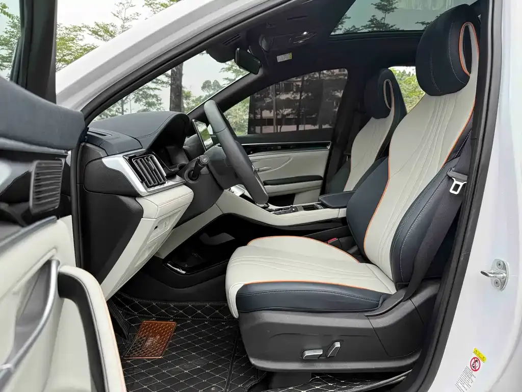 BYD PLUS New Energy 2021 из CN, фото 5