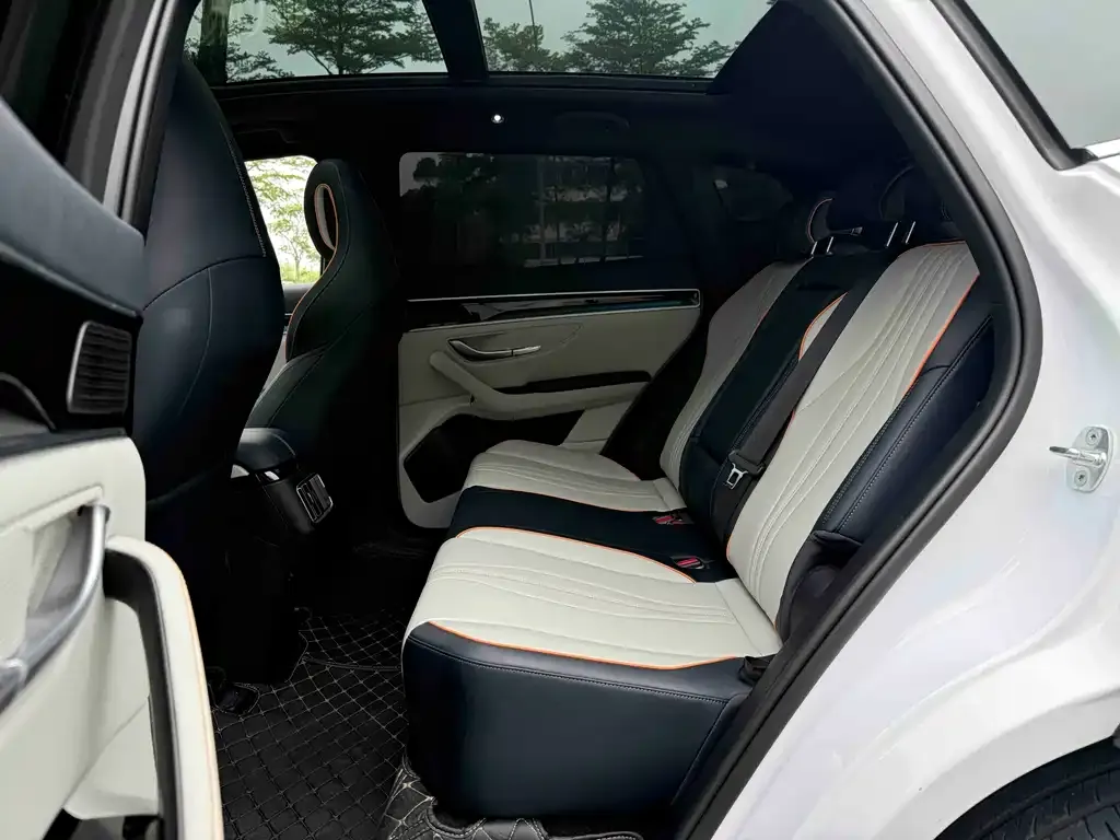 BYD PLUS New Energy 2021 из CN, фото 3