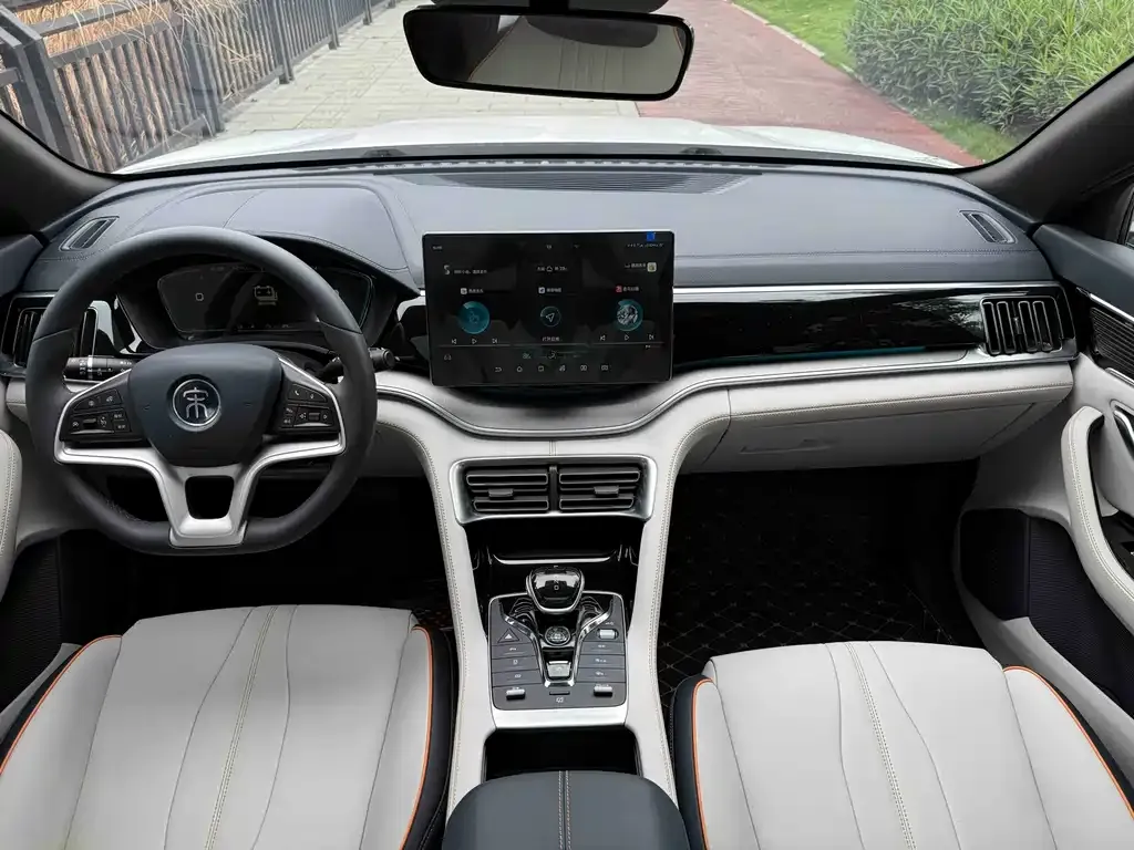 BYD PLUS New Energy 2021 из CN, фото 6