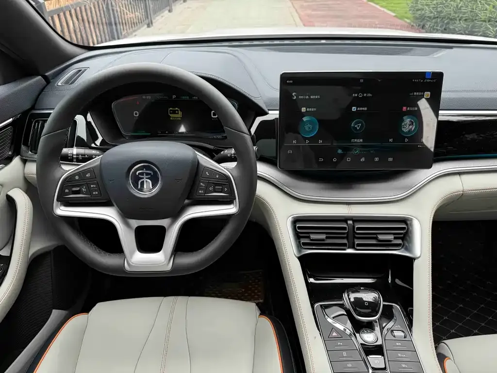 BYD PLUS New Energy 2021 из CN, фото 2