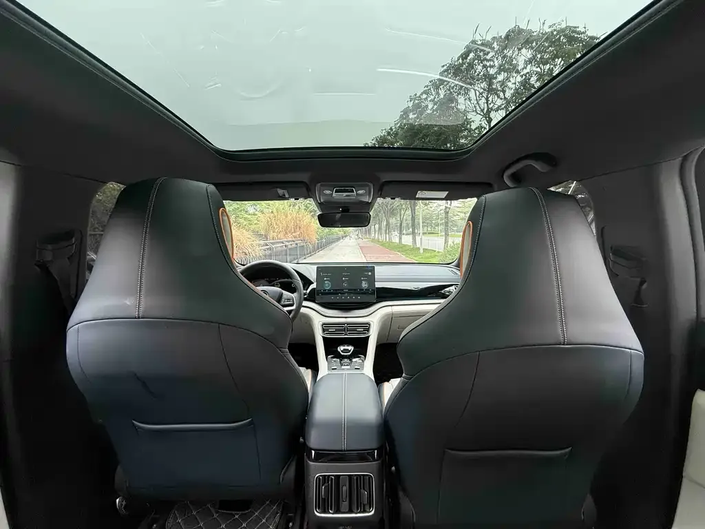 BYD PLUS New Energy 2021 из CN, фото 4