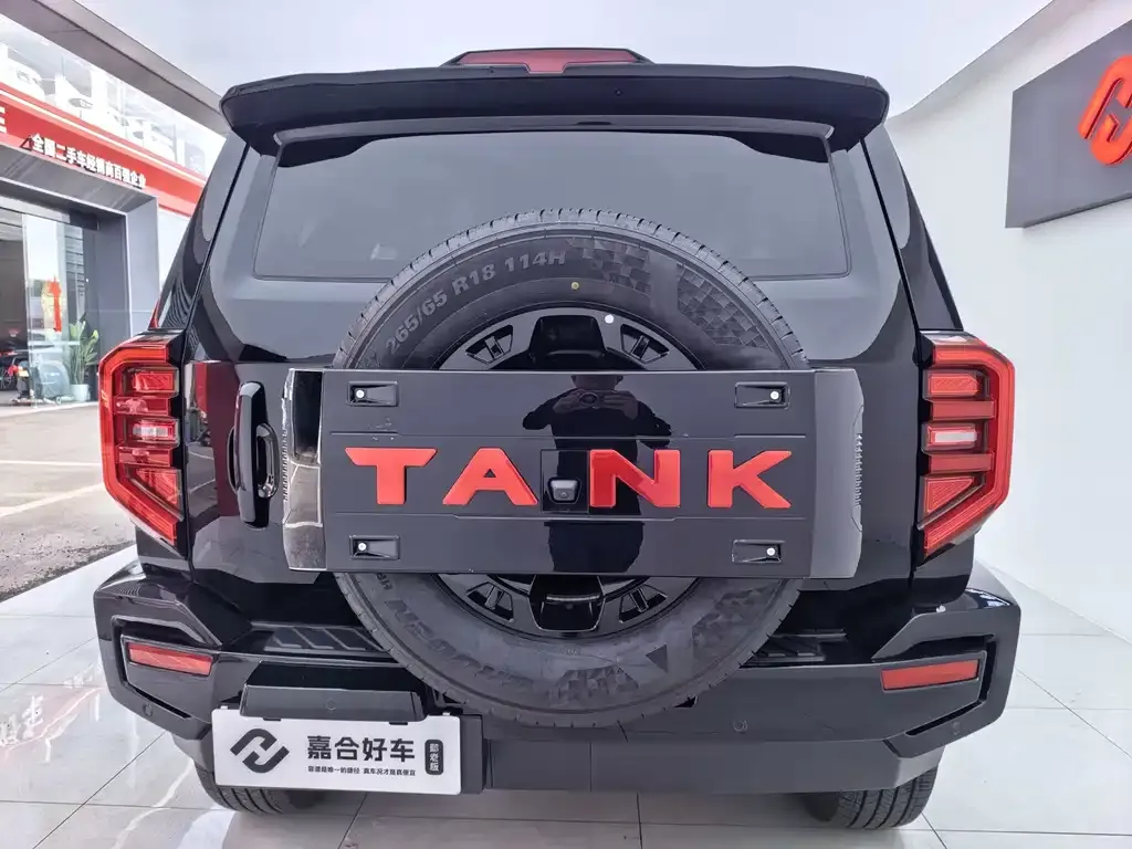 Tank 400 New Energy 2025 из CN, фото 6