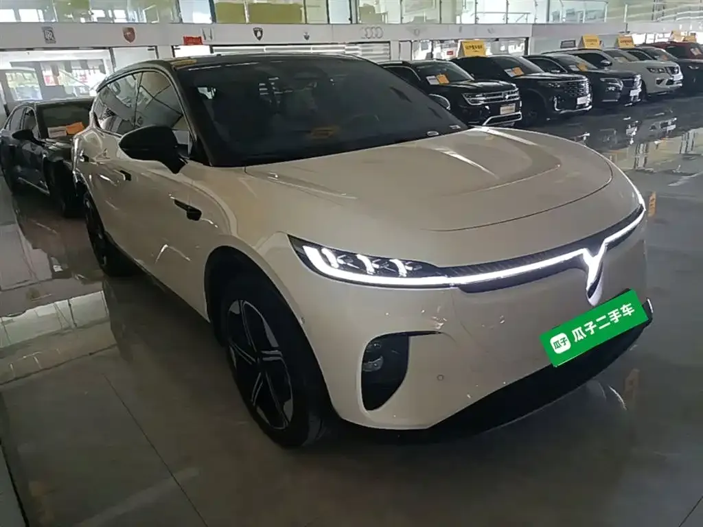 VOYAH Zhiyin 2024 из CN, фото 7